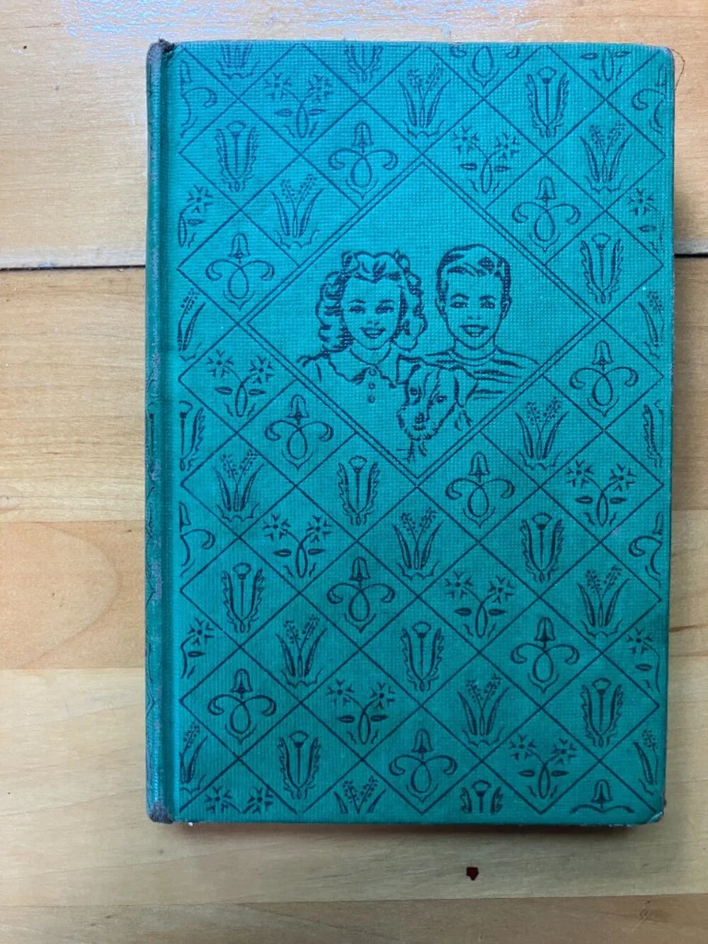 Vintage Bobbsey Twins Hardcover Book Set 1941 1959 1966 Laura Lee Hope Grosset